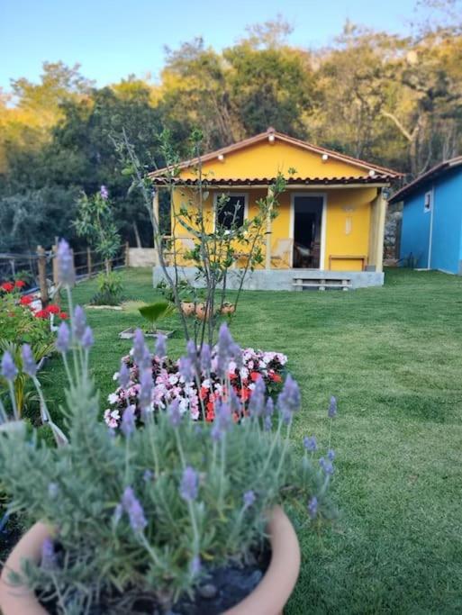 Vila Celso De Gil, Aconchego, Privacidade, Internet, Casas De Campo 300M Da Cachoeira Da Boa Vista , Proximo Vale Do Capao Palmeiras  Eksteriør bilde